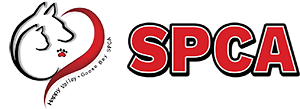 Logo partenaire